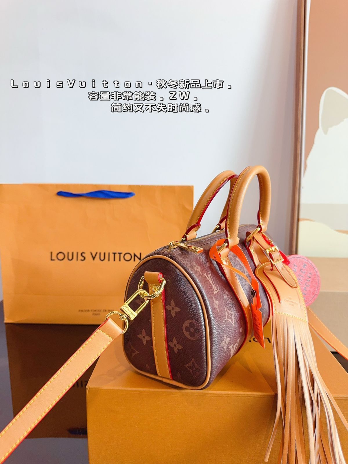 LV Speedy nano枕バッグ、ハンドバッグケースバッグ、ショルダーバッグ、ブリーフケース、モップバッグ、ショルダーバッグ、リュックサック、財布、財布、手首バッグ、ポーチ、ナイトバッグ、旅行バッグ、財布