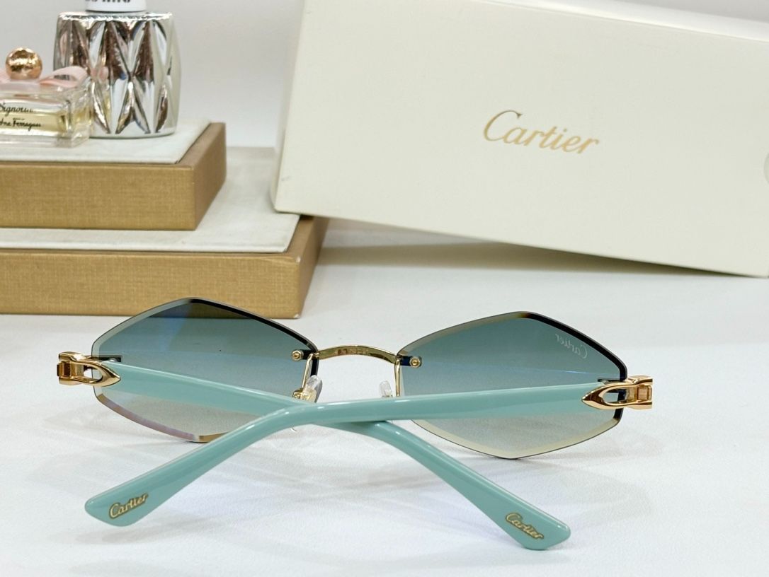 CARTIE モデル CT0901S メガネ -WTO輸入1