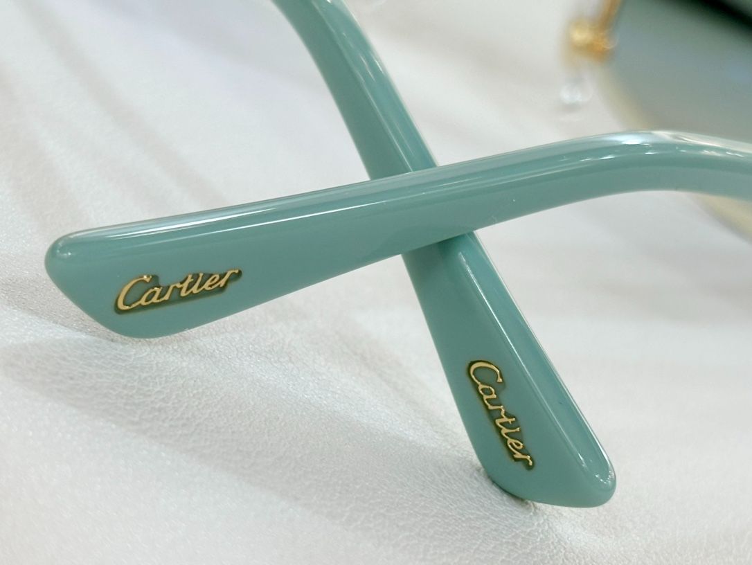 CARTIE モデル CT0901S メガネ -WTO輸入1