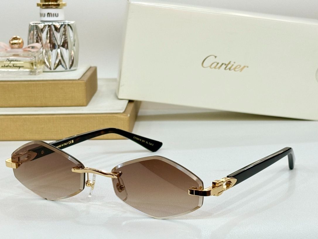 CARTIE モデル CT0901S メガネ -WTO輸入1