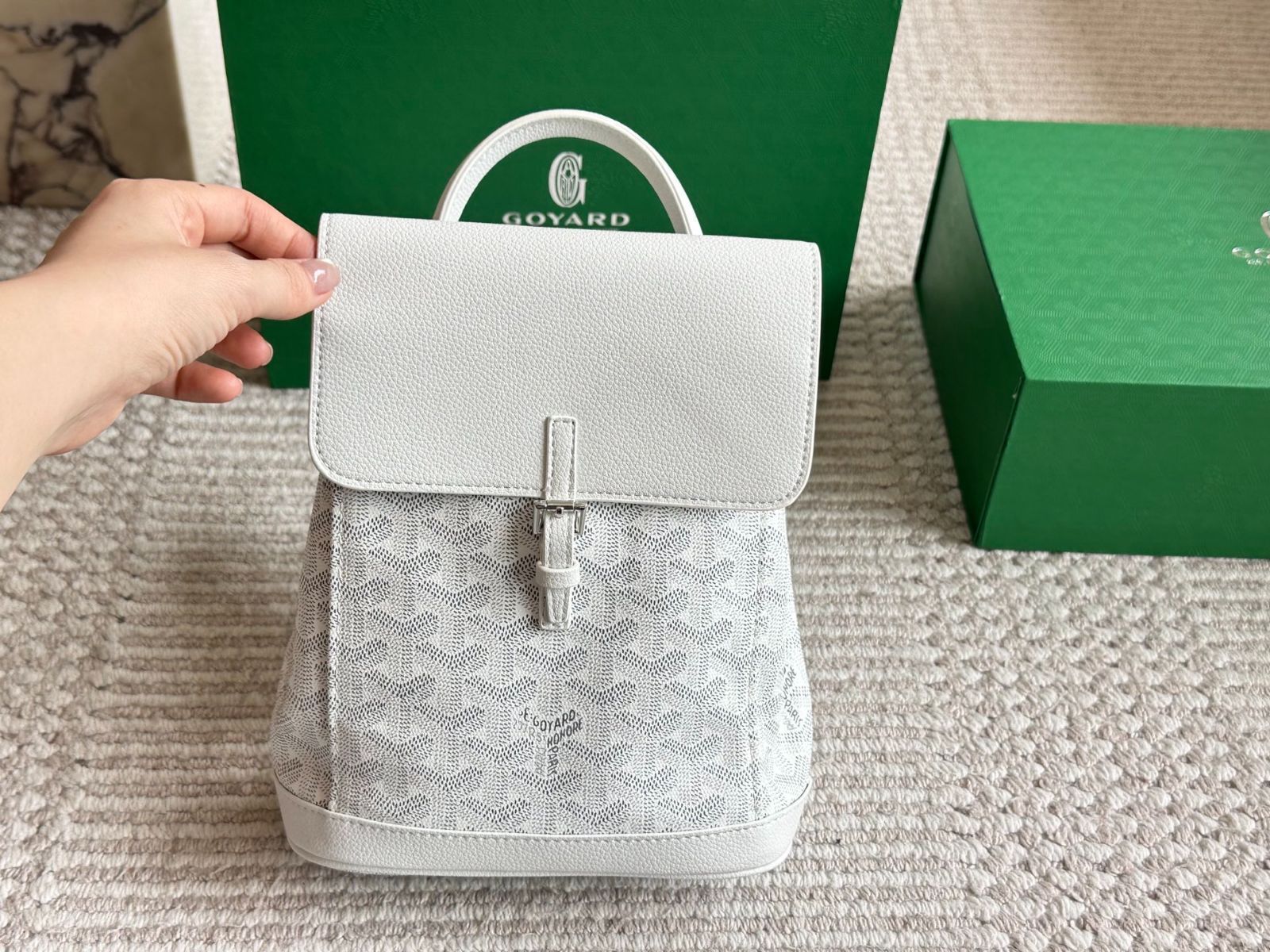 【今日特価】Alpin mini Goyard ゴヤード ミニ両肩バッグ 20×23cm ～使い捨てない大人のレジャー感～