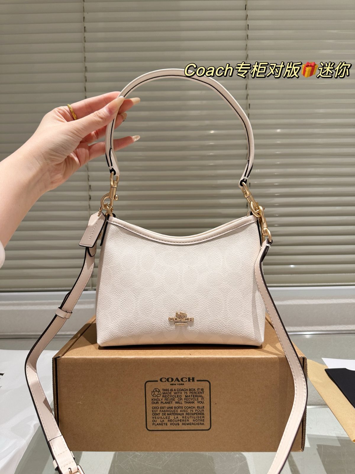 【今日特価】COACH ミニ流浪包 送料無料 今の在庫はお得な価格です