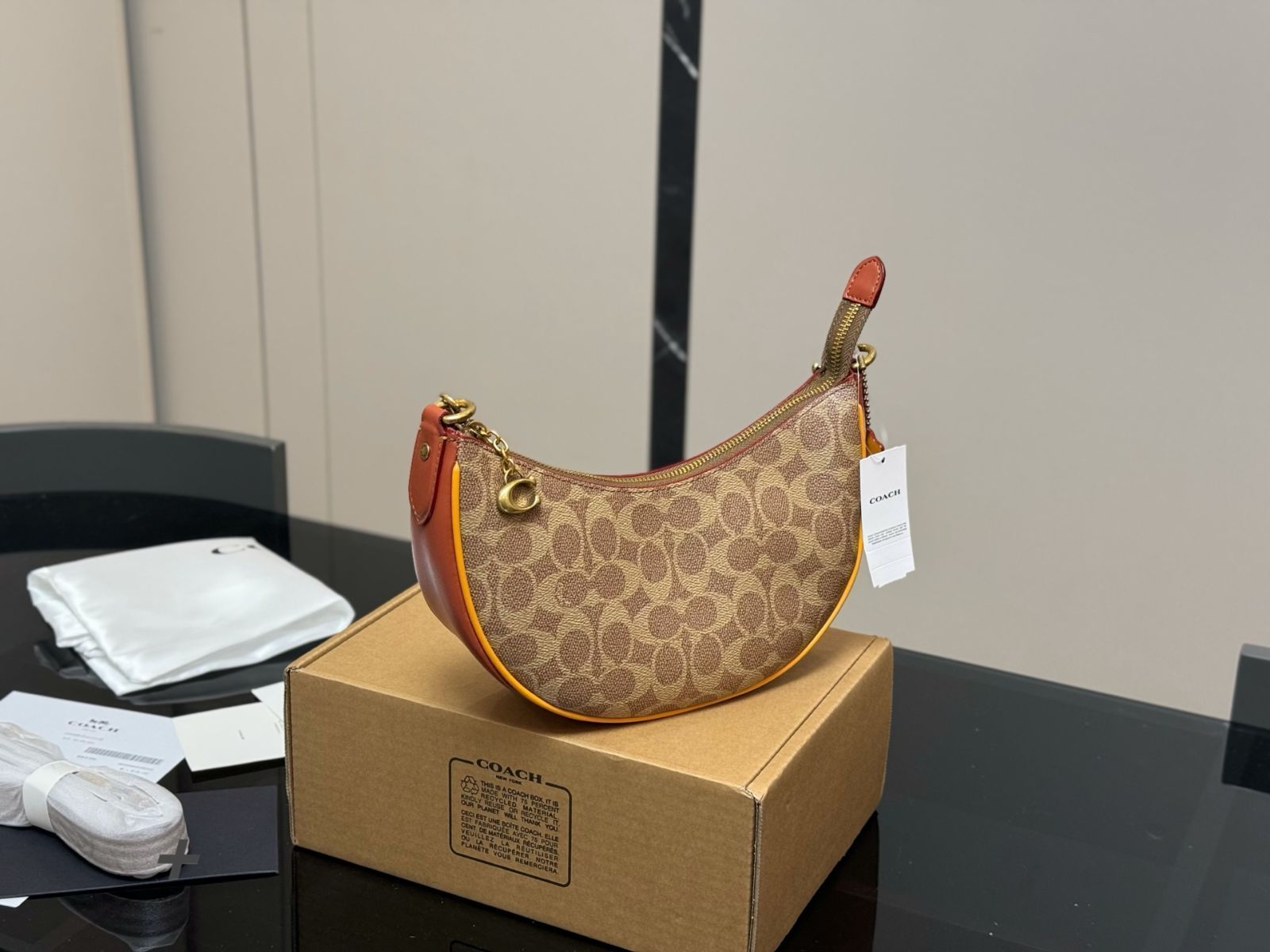 【今日特価】Coach コーチ Bailey Hobo 月牙バッグ（24×13cm）