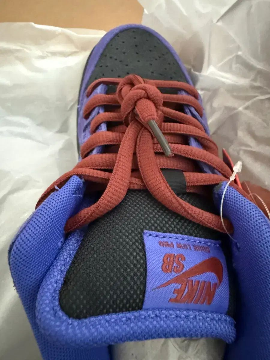 ダンクsb ペルシアン バイオレット 265新品