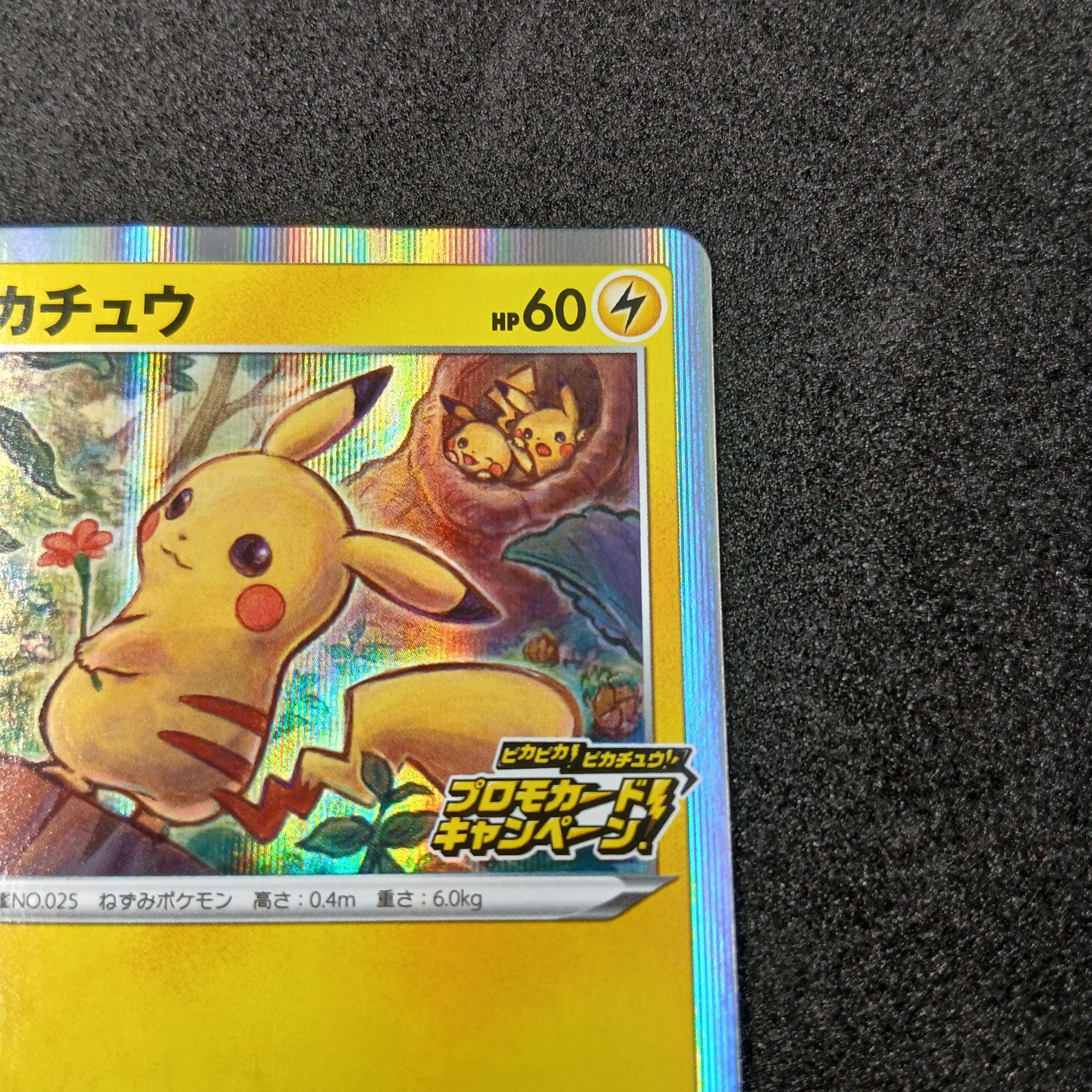 ピカチュウ: プロモ P [S-P 124](ピカピカ！ピカチュウ！プロモカード 