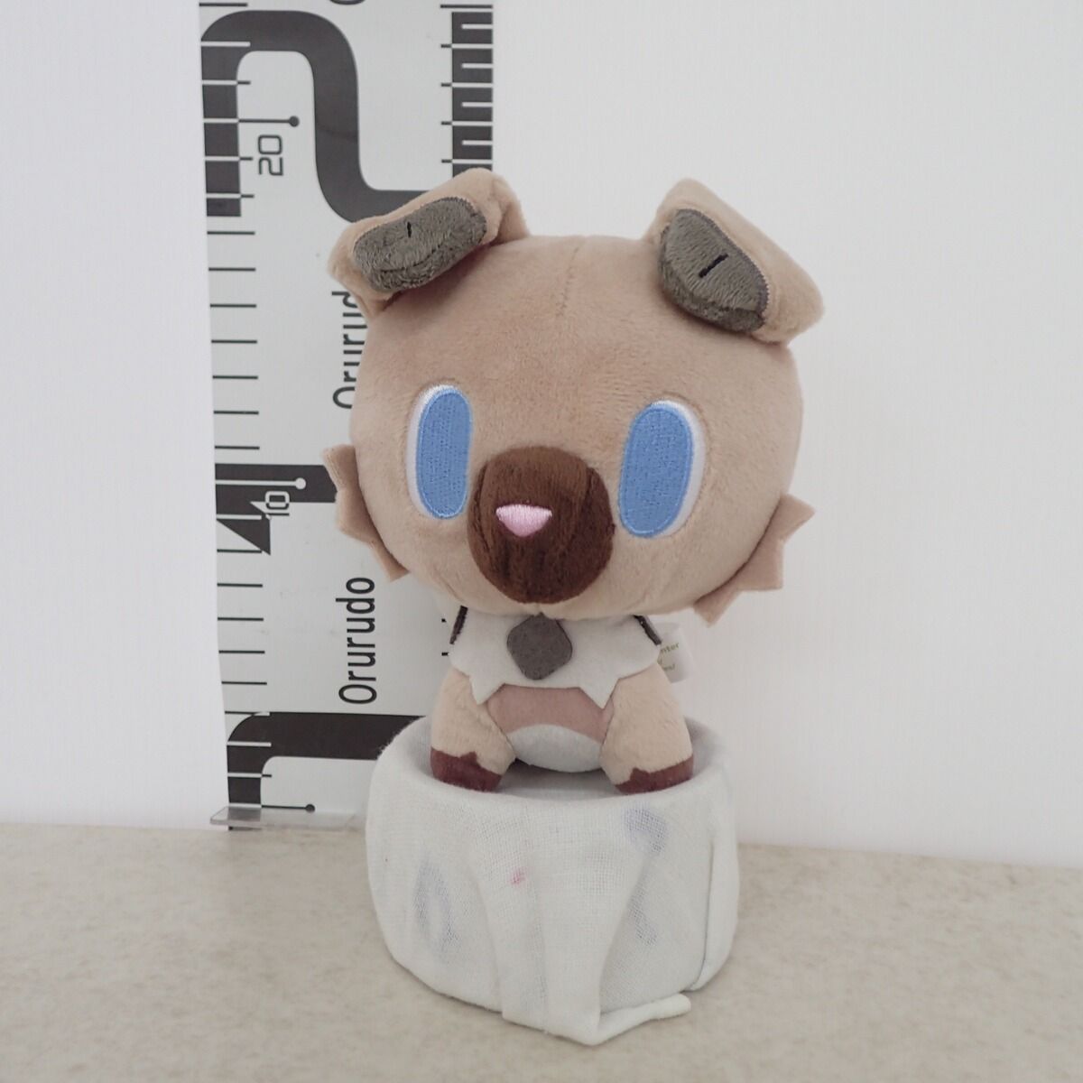 ポケモンセンター ポケモンドールズ イワンコ 紙タグ無