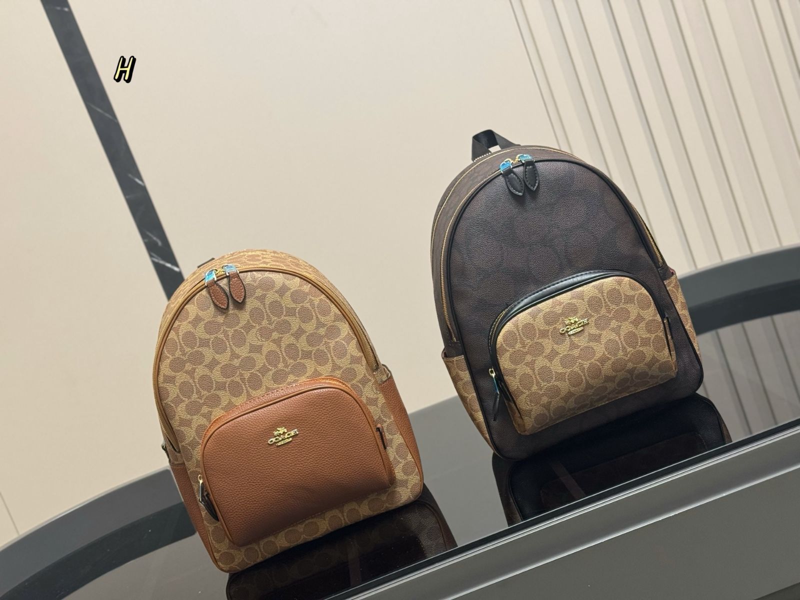 【今日特価】COACH New Arrival Backpack コーチ ニューアライヴァル バックパック