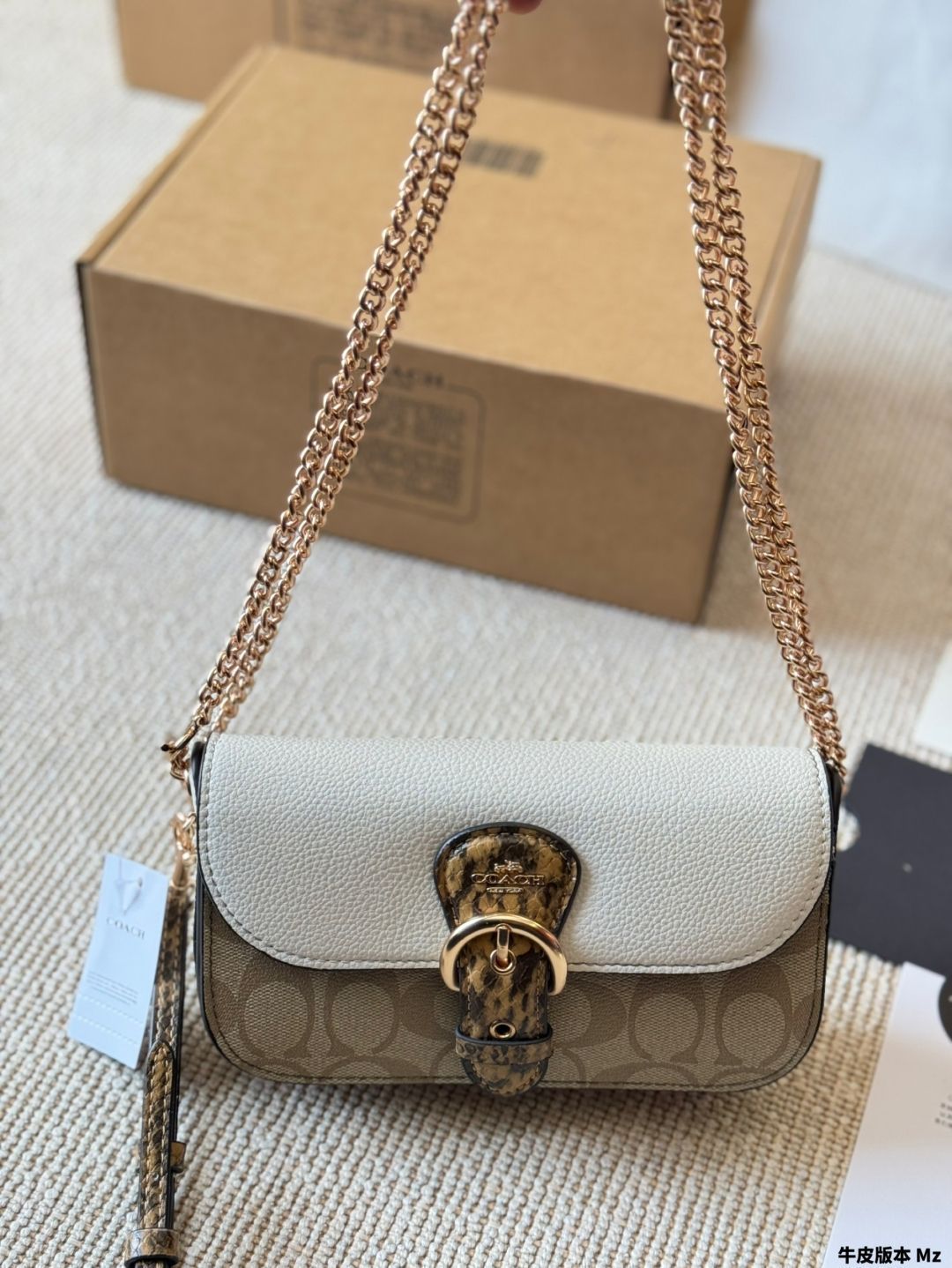 【今日特価】Coach Kleo Chain Bag - コーチ クレオ チェーンバッグ-WTO輸入2