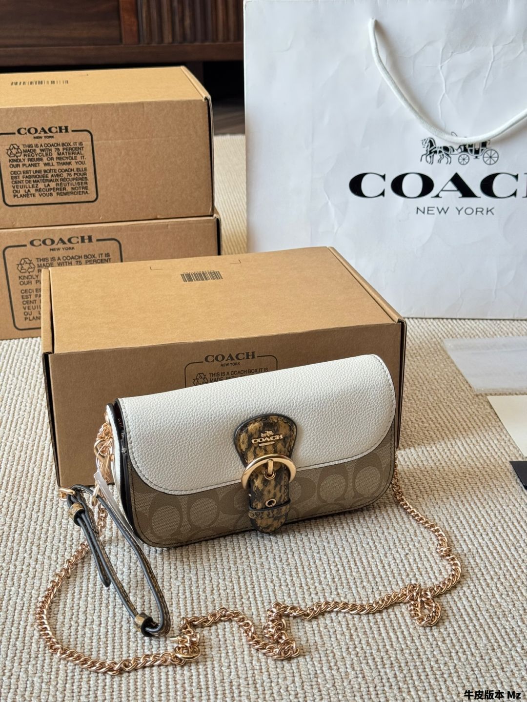 【今日特価】Coach Kleo Chain Bag - コーチ クレオ チェーンバッグ-WTO輸入2
