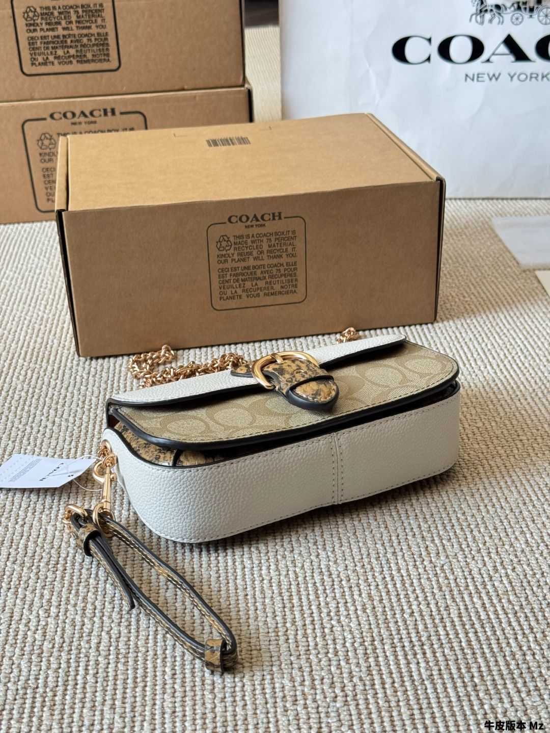 【今日特価】Coach Kleo Chain Bag - コーチ クレオ チェーンバッグ-WTO輸入2