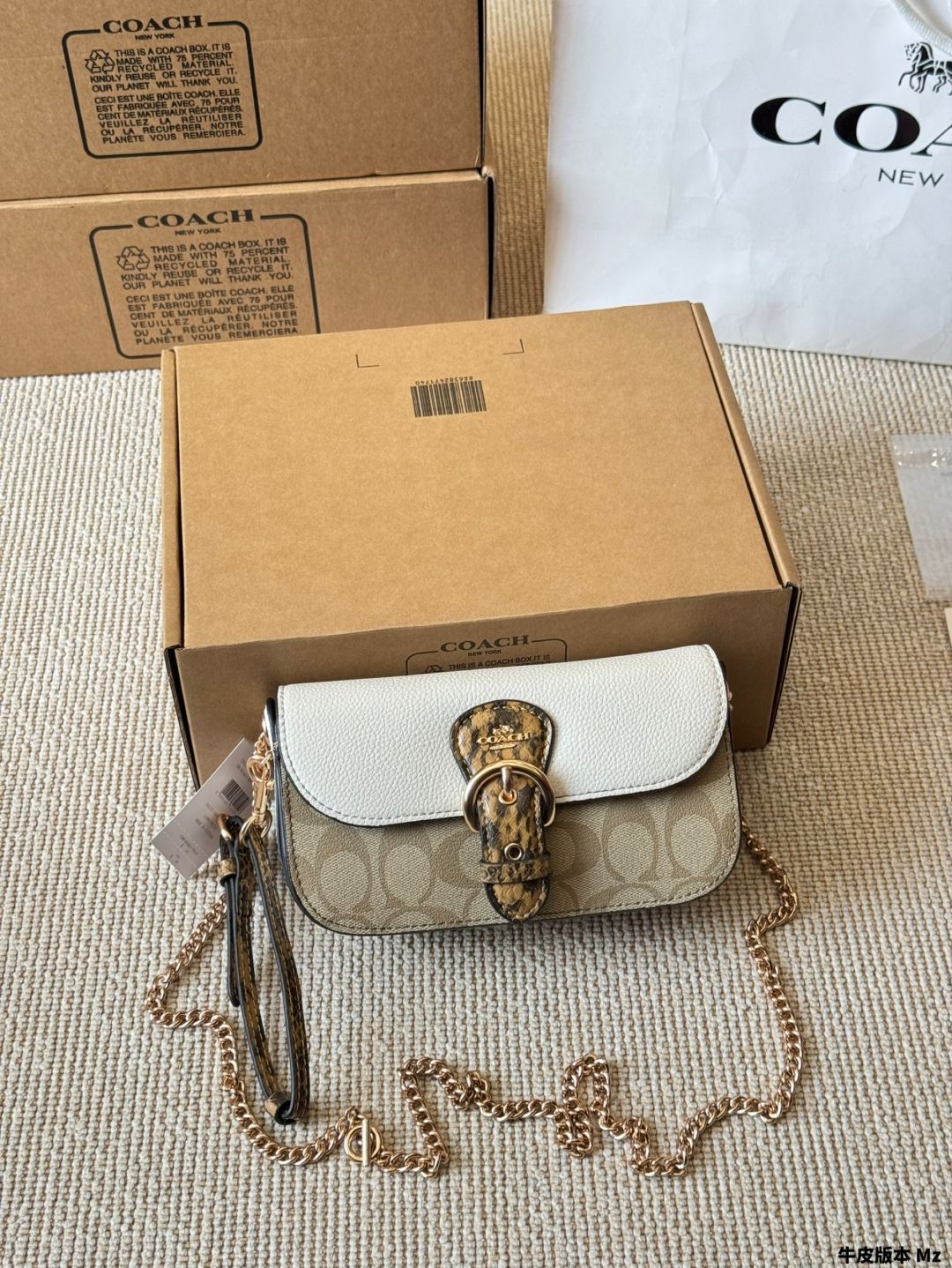 【今日特価】Coach Kleo Chain Bag - コーチ クレオ チェーンバッグ-WTO輸入2
