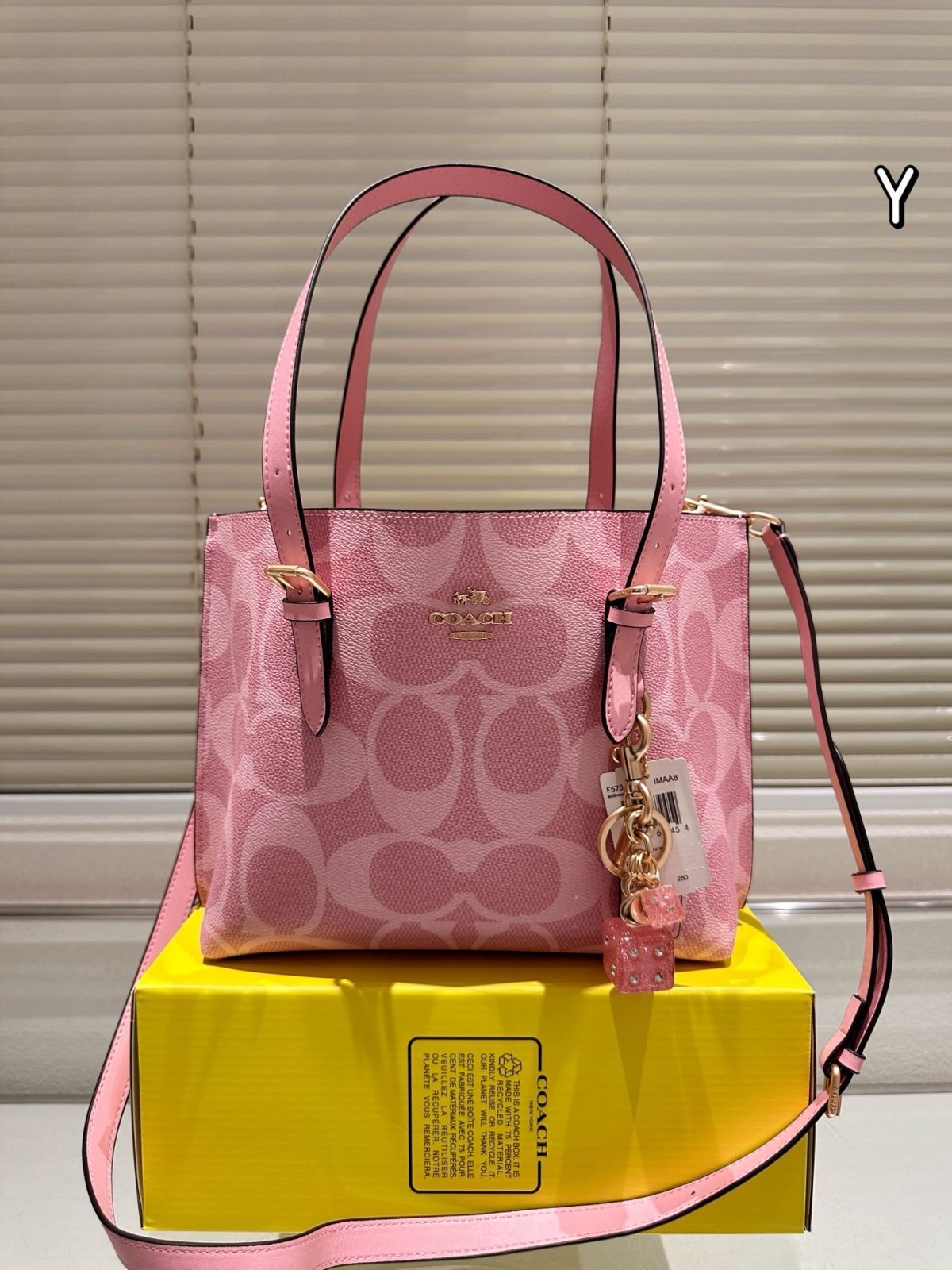 【今日特価】Coach Mollie 25 Tote Bag コーチ モリー 25 トートバッグ-WTO輸入1