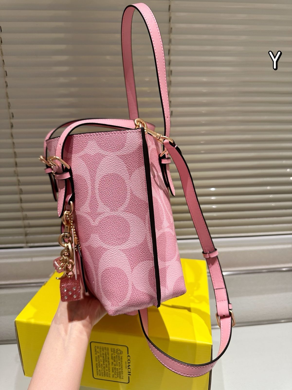 【今日特価】Coach Mollie 25 Tote Bag コーチ モリー 25 トートバッグ-WTO輸入1