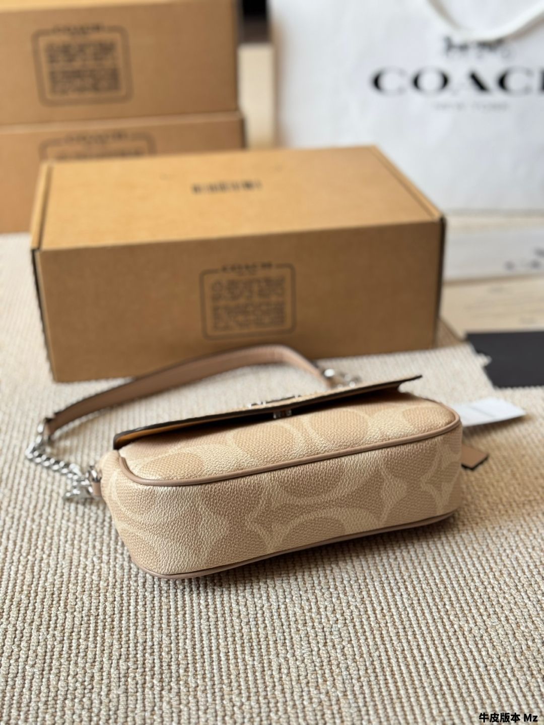 【今日特価】Coach Hailey Mini Baguette Envelope Bag - コーチ ヘイリー ミニ バゲット エンベロープ バッグ-WTO輸入2