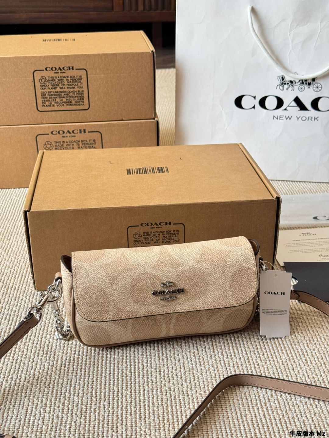 【今日特価】Coach Hailey Mini Baguette Envelope Bag - コーチ ヘイリー ミニ バゲット エンベロープ バッグ-WTO輸入2