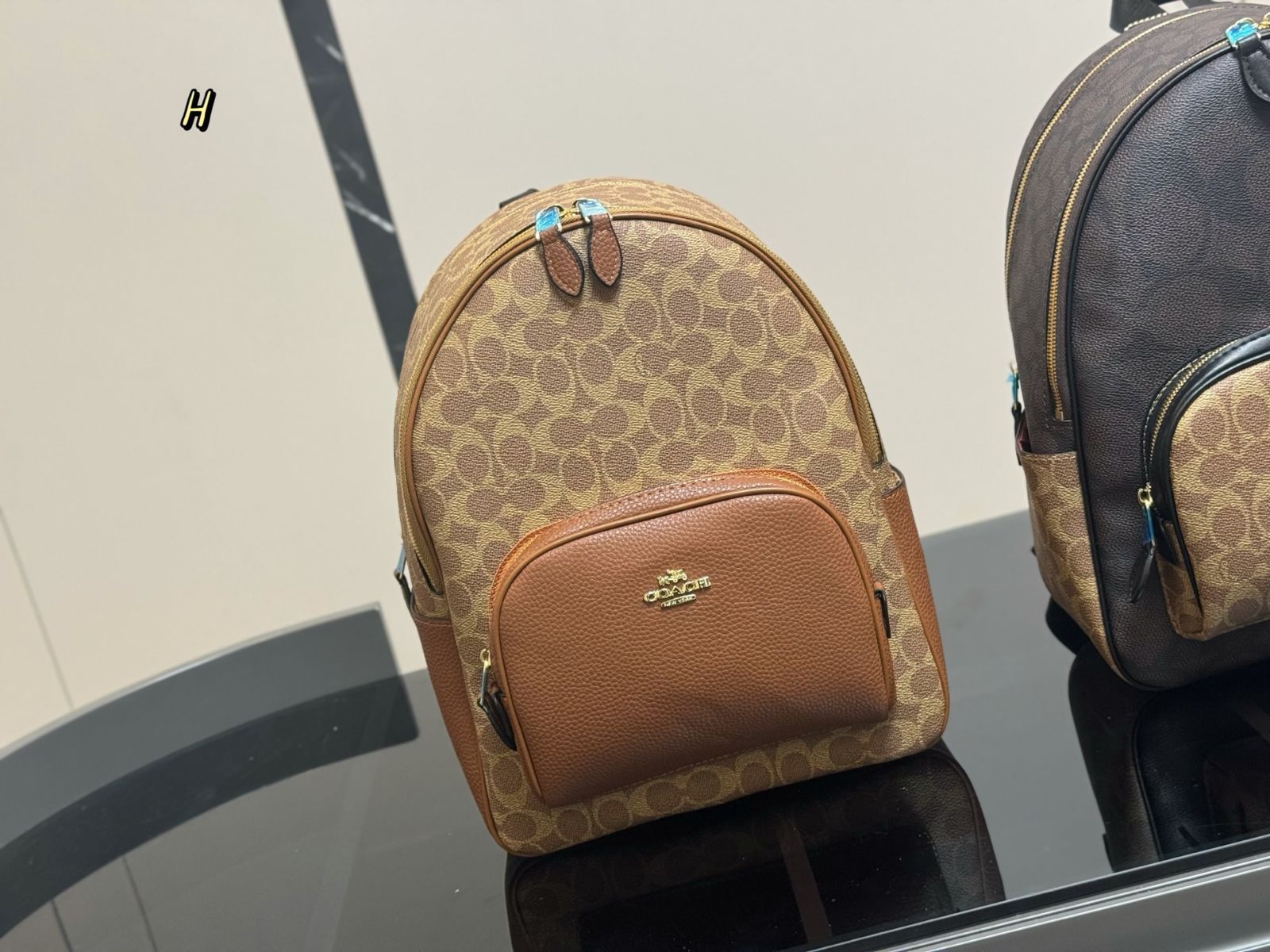 【今日特価】COACH New Arrival Backpack コーチ ニューアライヴァル バックパック