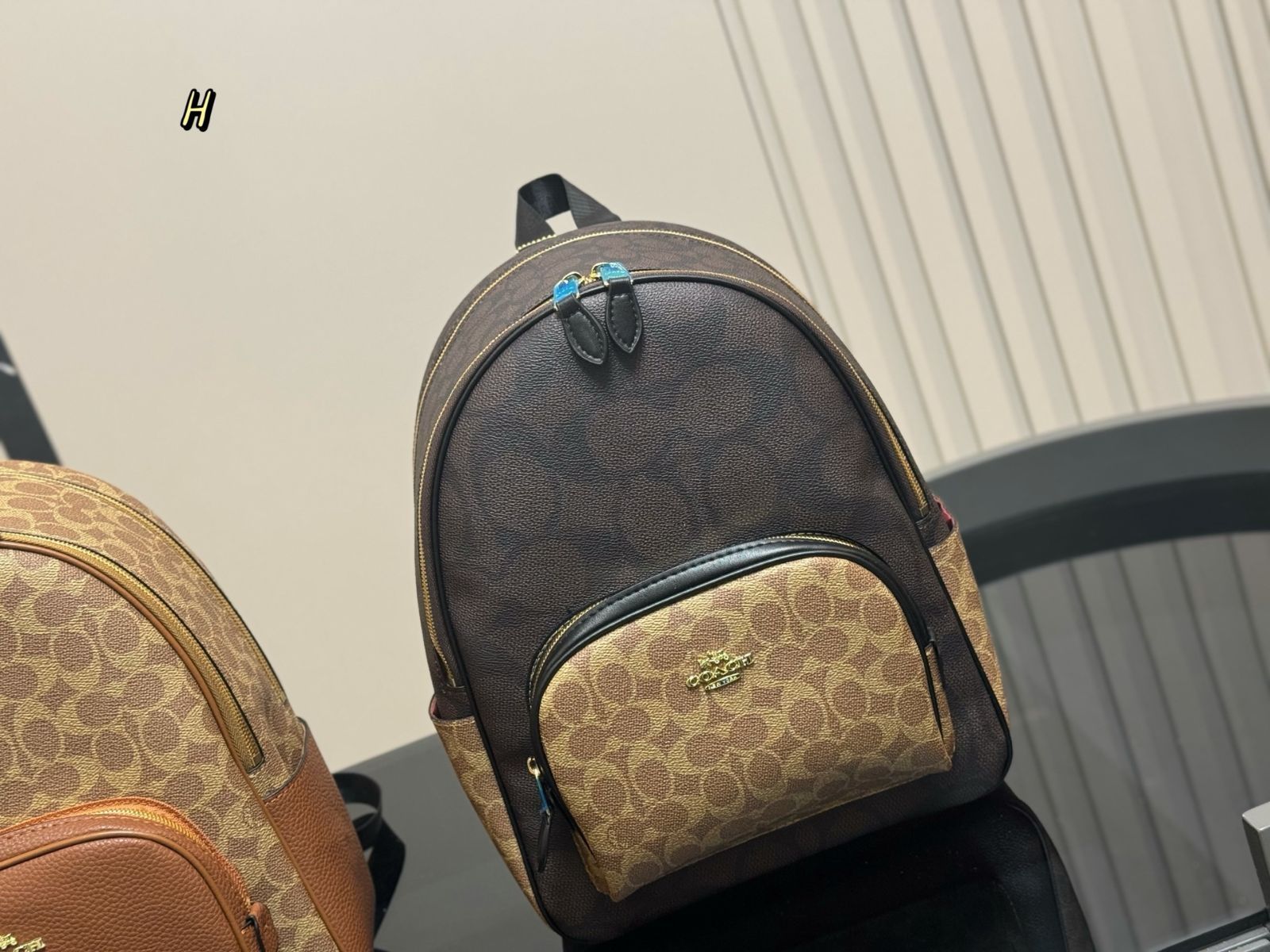 【今日特価】COACH New Arrival Backpack コーチ ニューアライヴァル バックパック