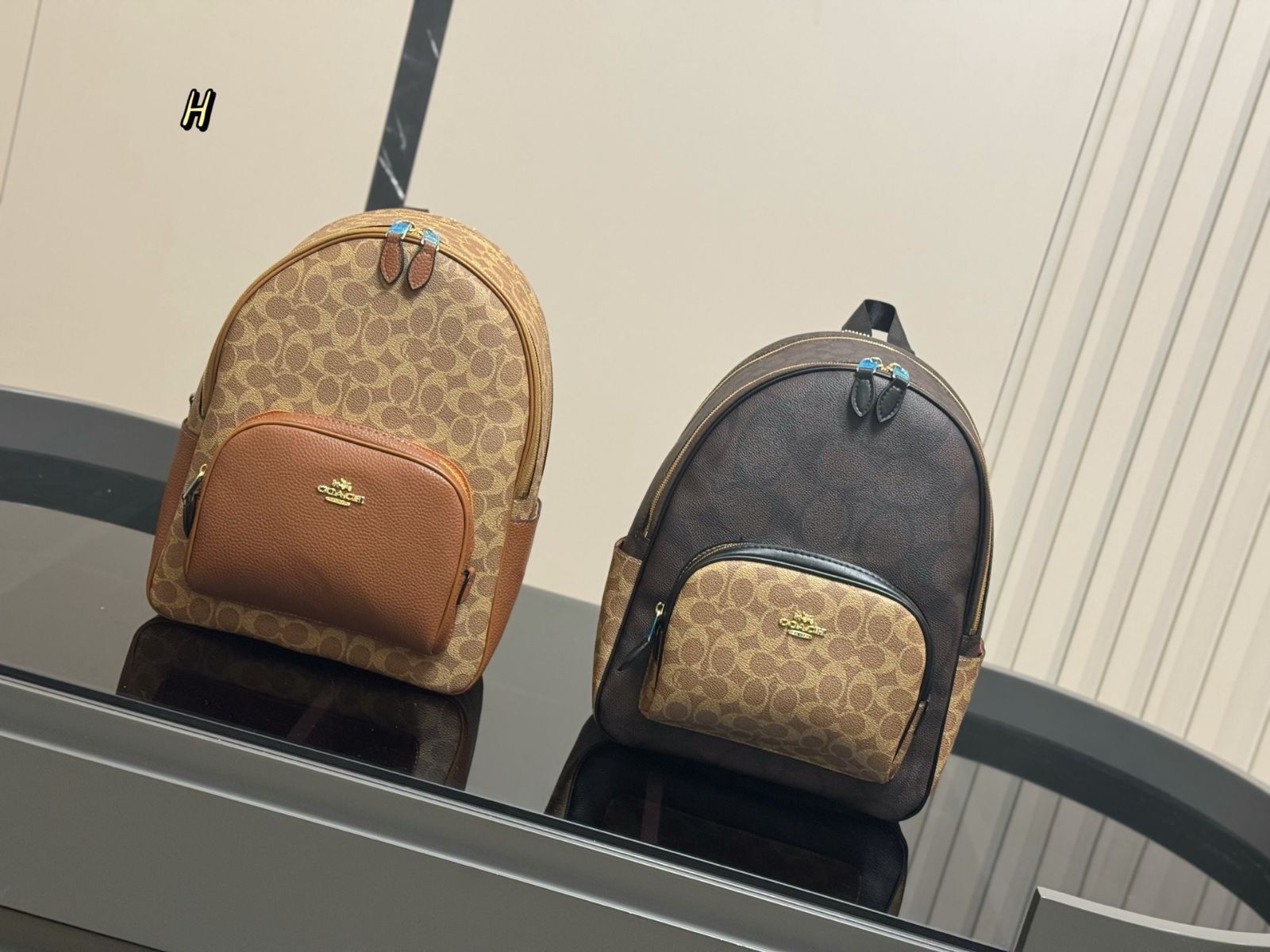 【今日特価】COACH New Arrival Backpack コーチ ニューアライヴァル バックパック