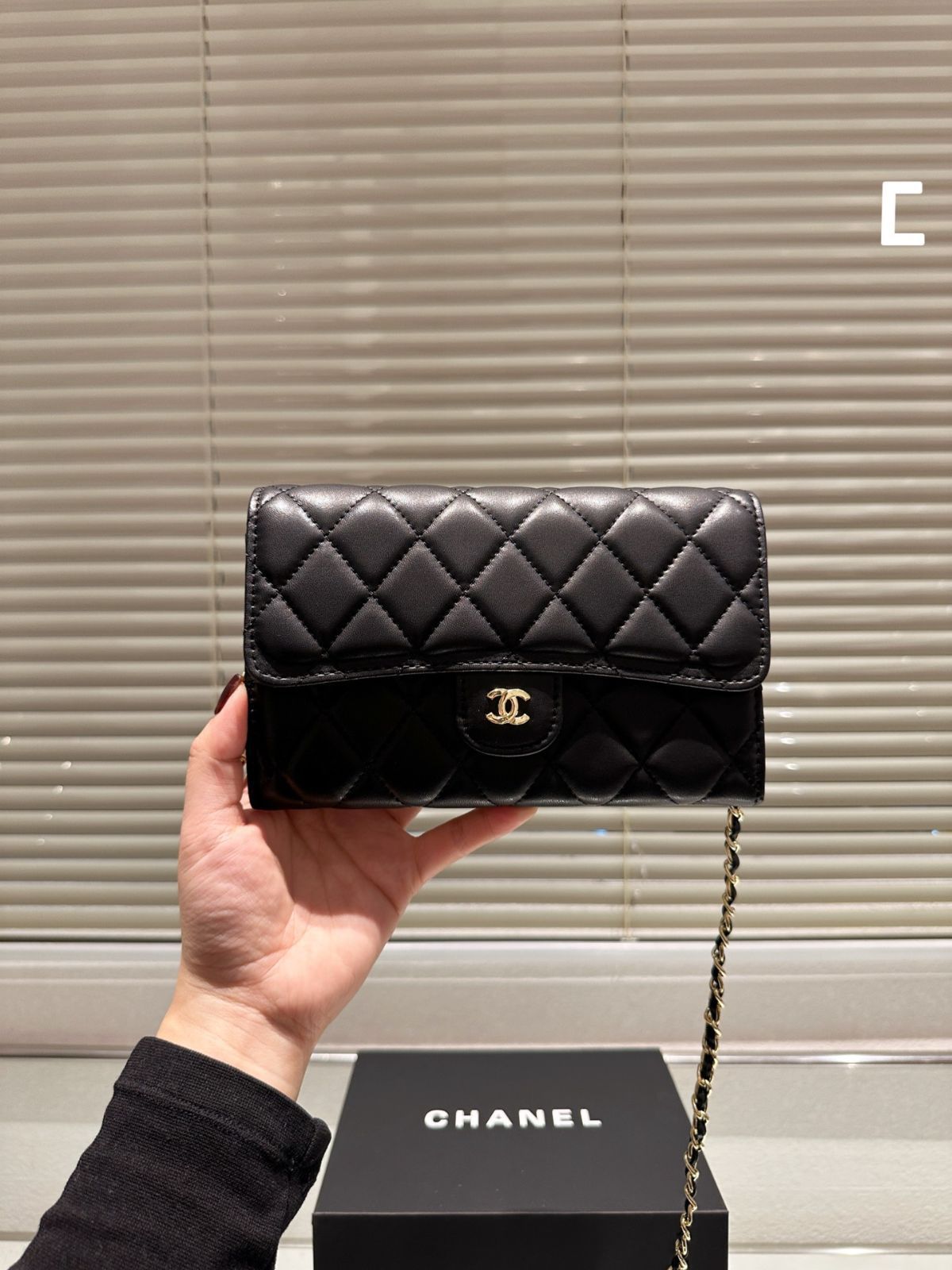 【今日特価】Chanel 香奈儿 早春 WOC 魅力爆発予定の新デザイン