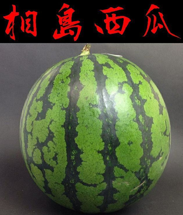 【発売中】【山口県】萩・相島（あいしま）大玉スイカ(特）Ｘ１個【糖度12度以上】※別途送料、東北500円、北海道1000円・沖縄、離島不可※