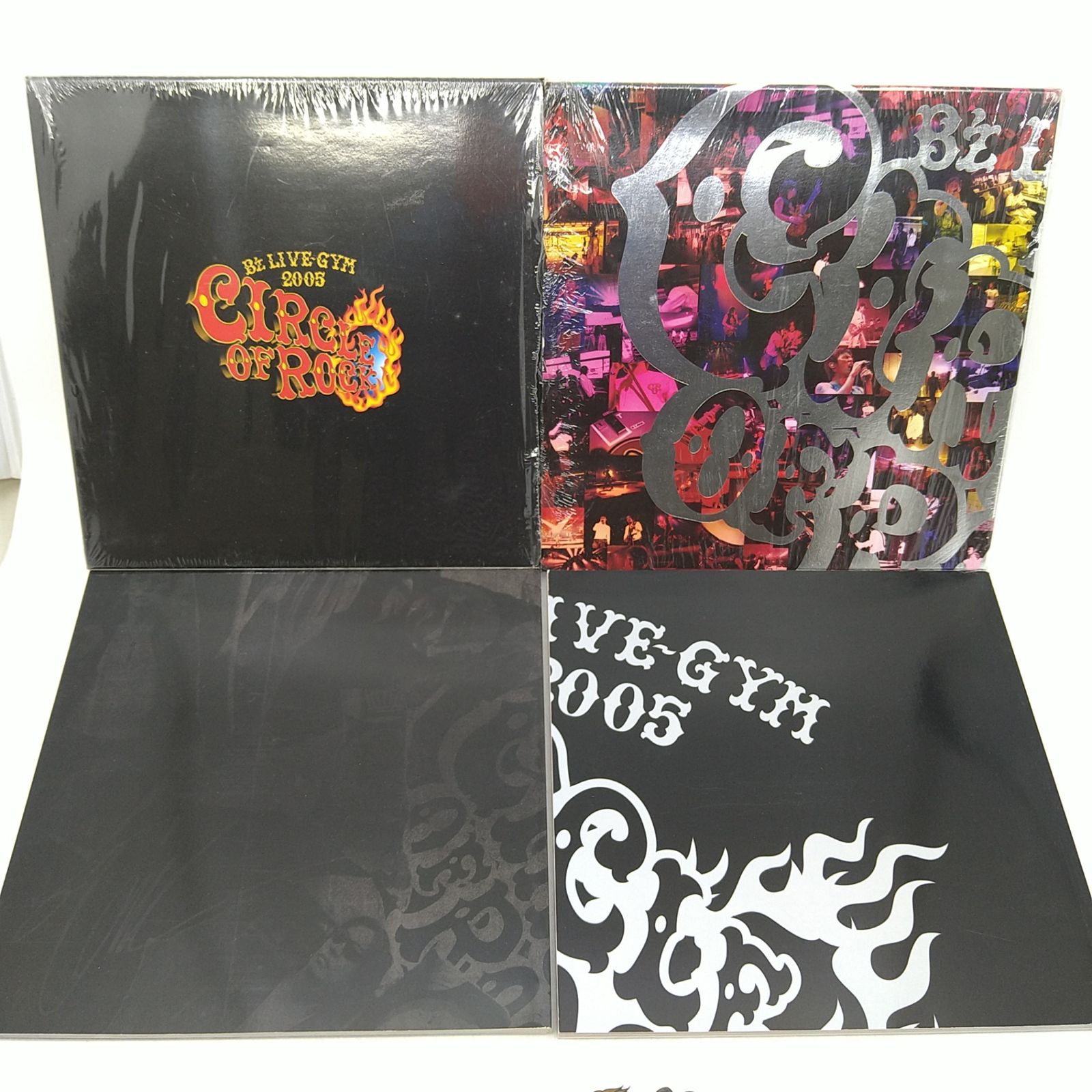 ツアーパンフレット】 B'z LIVE-GYM 2005 