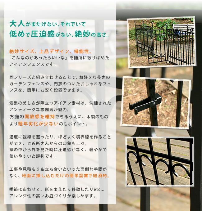 住まいスタイル パークアベニューフェンス単品販売 フェンス ゲート 扉 アイアン ガーデンフェンス ガーデニング 枠 柵 仕切り 目隠し 境目 クラシカル アンティーク トレリス つる 薔薇 バラ 朝顔 園芸 ラティス IPN-7021F