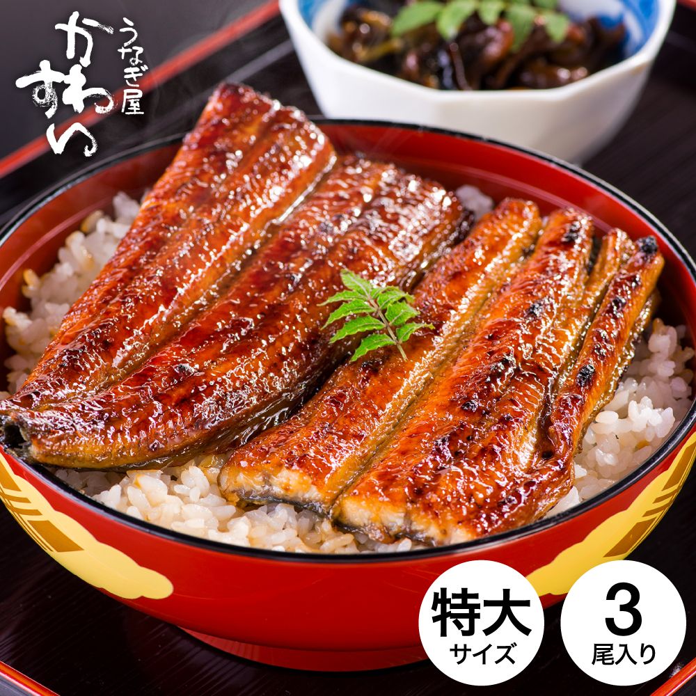 グルメ うなぎ 国産 うなぎ屋かわすい 国産うなぎ蒲焼長焼 特大 170g×3本セット メーカー直送 のし・包装紙・メッセージカード不可 冷凍便