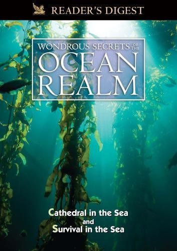 Wondrous Secrets of the Ocean Realm: Cathedral in the Sea & Survival in the Sea