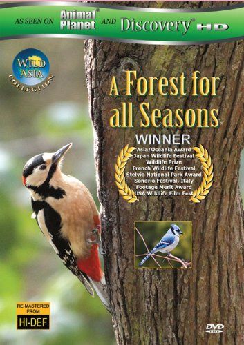 Wild Asia: A Forrest for All Seasons [DVD]