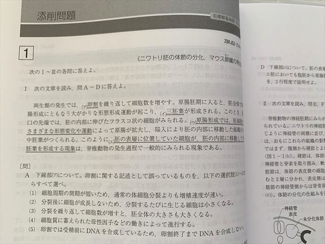 Z会 Zstudy 直前予想演習 東大生物 添削問題編/解答解説編 状態良い
