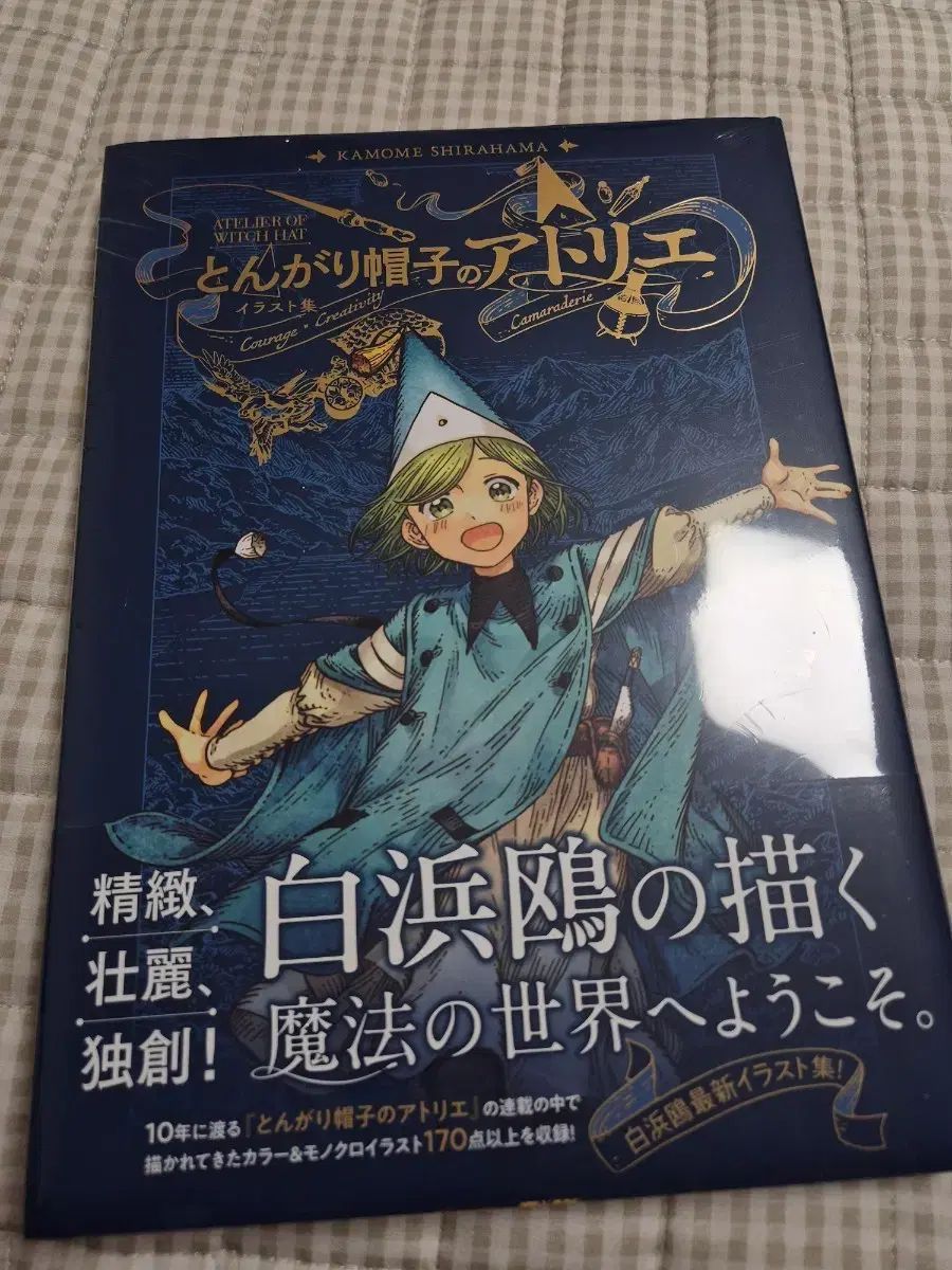 ゴーカル帽子 アトリエ アートブック