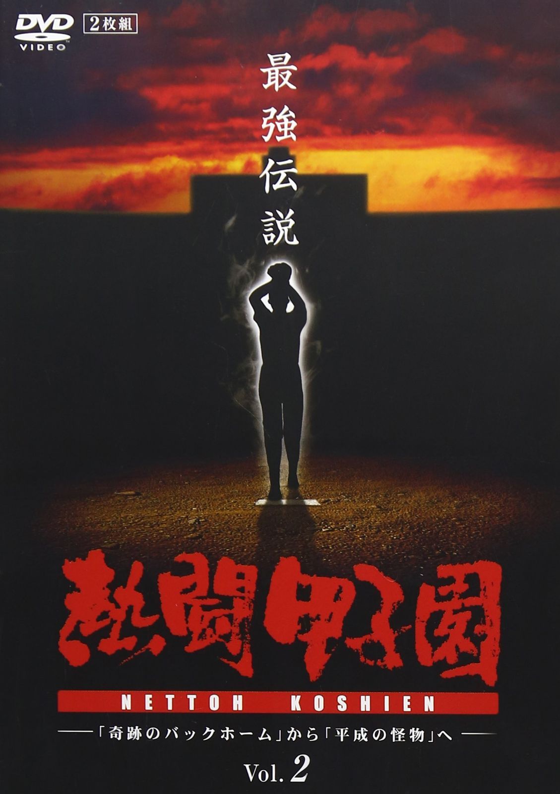 熱闘甲子園 最強伝説 vol.2 「奇跡のバックホーム」から「平成の怪物」へ [DVD]