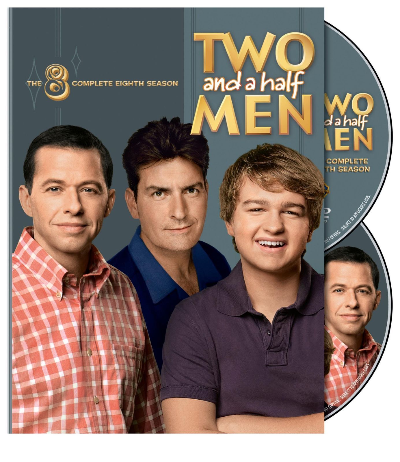 Two & A Half Men: Complete Eighth Season [DVD]