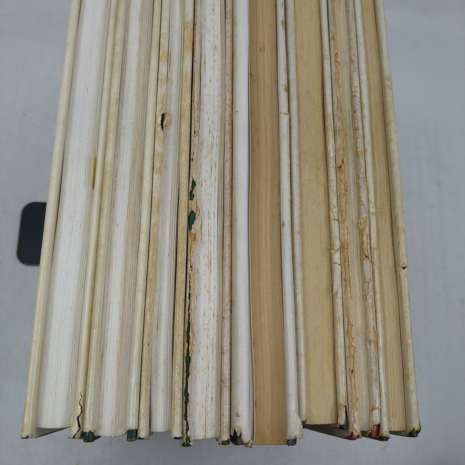【洋書・図鑑】Butteflies in Thailand 全6巻 + 第3版の1・2巻セット タイの蝶 2606Ssy3 【洋書・図鑑】Butteflies in Thailand 全6巻 + 第3版の1・2巻セット タイの蝶 2606Ssy3