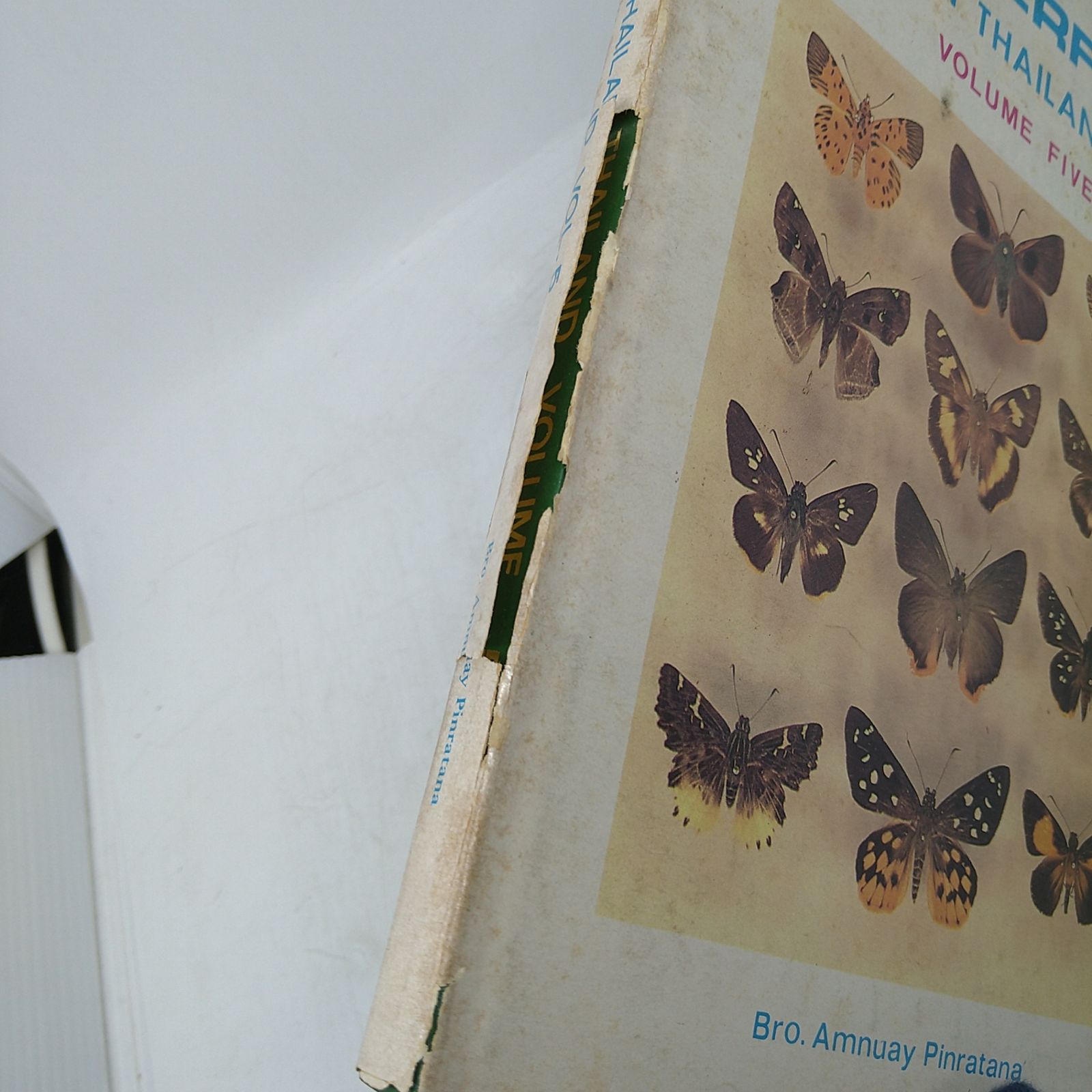 【洋書・図鑑】Butteflies in Thailand 全6巻 + 第3版の1・2巻セット タイの蝶 2606Ssy3 【洋書・図鑑】Butteflies in Thailand 全6巻 + 第3版の1・2巻セット タイの蝶 2606Ssy3