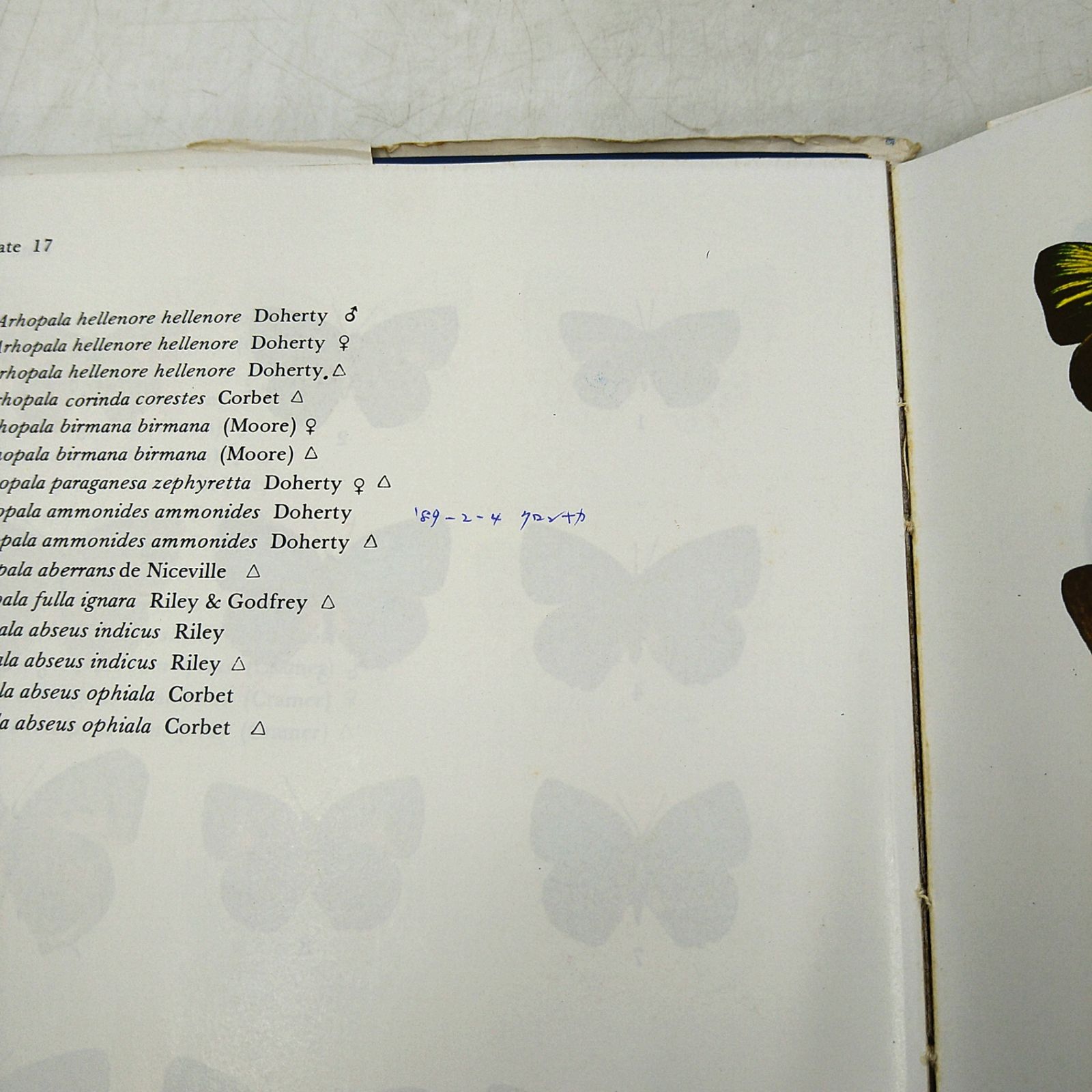 【洋書・図鑑】Butteflies in Thailand 全6巻 + 第3版の1・2巻セット タイの蝶 2606Ssy3 【洋書・図鑑】Butteflies in Thailand 全6巻 + 第3版の1・2巻セット タイの蝶 2606Ssy3