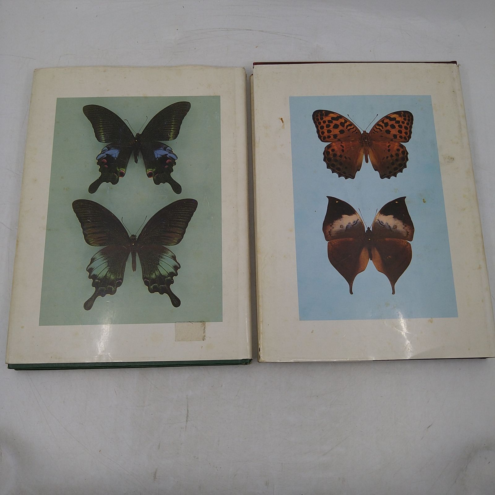 洋書・図鑑】Butteflies in Thailand 全6巻 ＋ 第3版の1・2巻セット