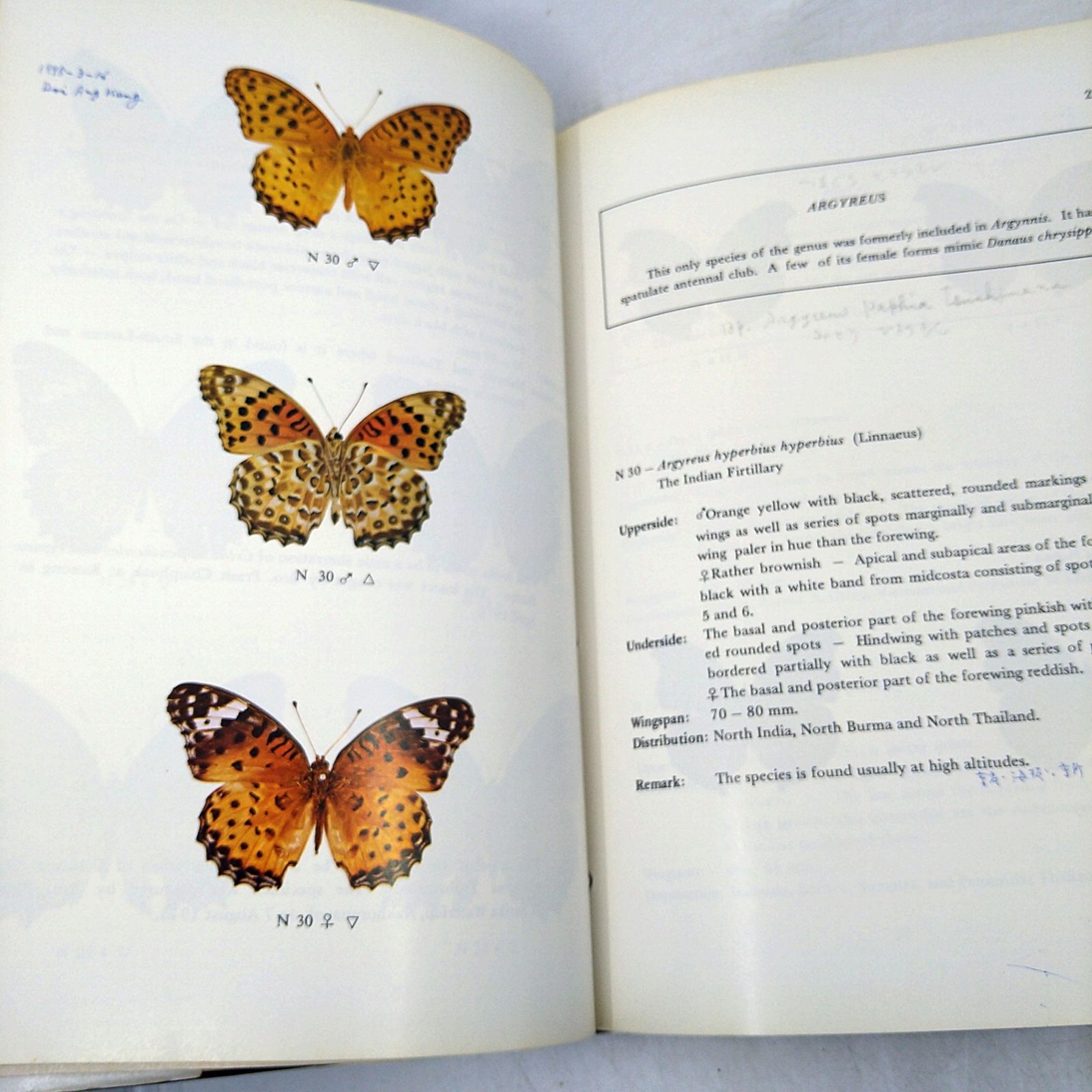 【洋書・図鑑】Butteflies in Thailand 全6巻 + 第3版の1・2巻セット タイの蝶 2606Ssy3 【洋書・図鑑】Butteflies in Thailand 全6巻 + 第3版の1・2巻セット タイの蝶 2606Ssy3