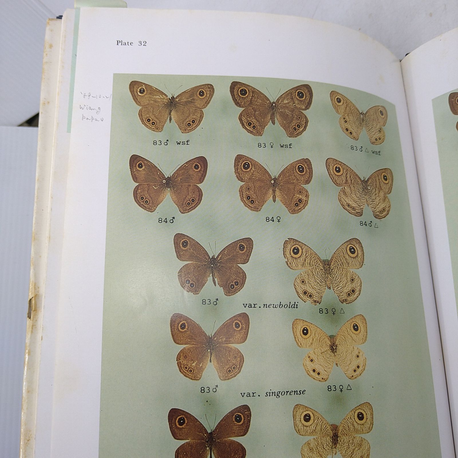 【洋書・図鑑】Butteflies in Thailand 全6巻 + 第3版の1・2巻セット タイの蝶 2606Ssy3 【洋書・図鑑】Butteflies in Thailand 全6巻 + 第3版の1・2巻セット タイの蝶 2606Ssy3