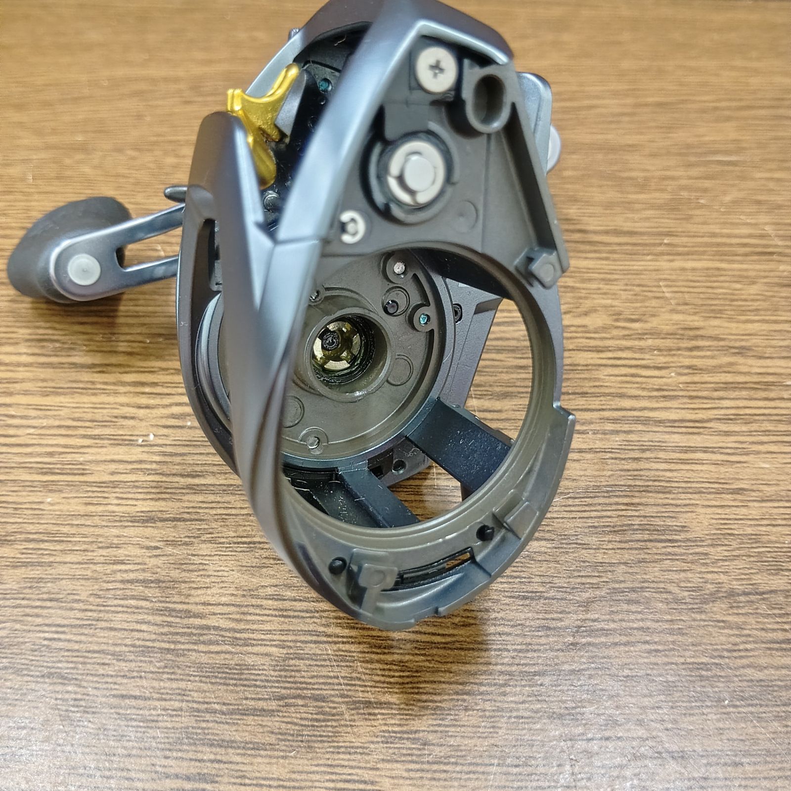 ダイワ(DAIWA) スティーズ A TW 1016LーCC ベイトリール ダイワ(DAIWA) スティーズ A TW 1016LーCC ベイトリール