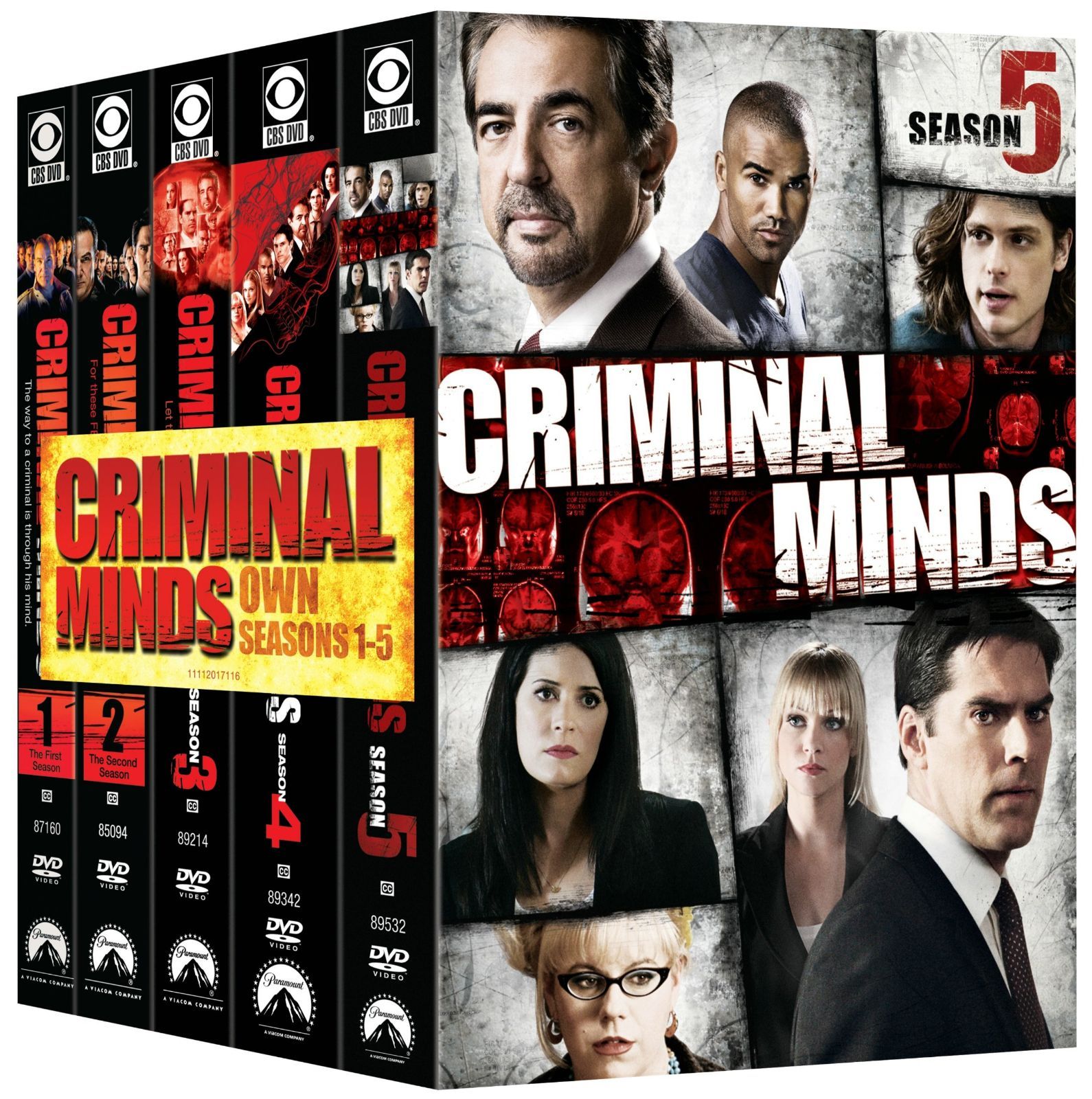 Criminal Minds: 5 Season Pack [DVD]