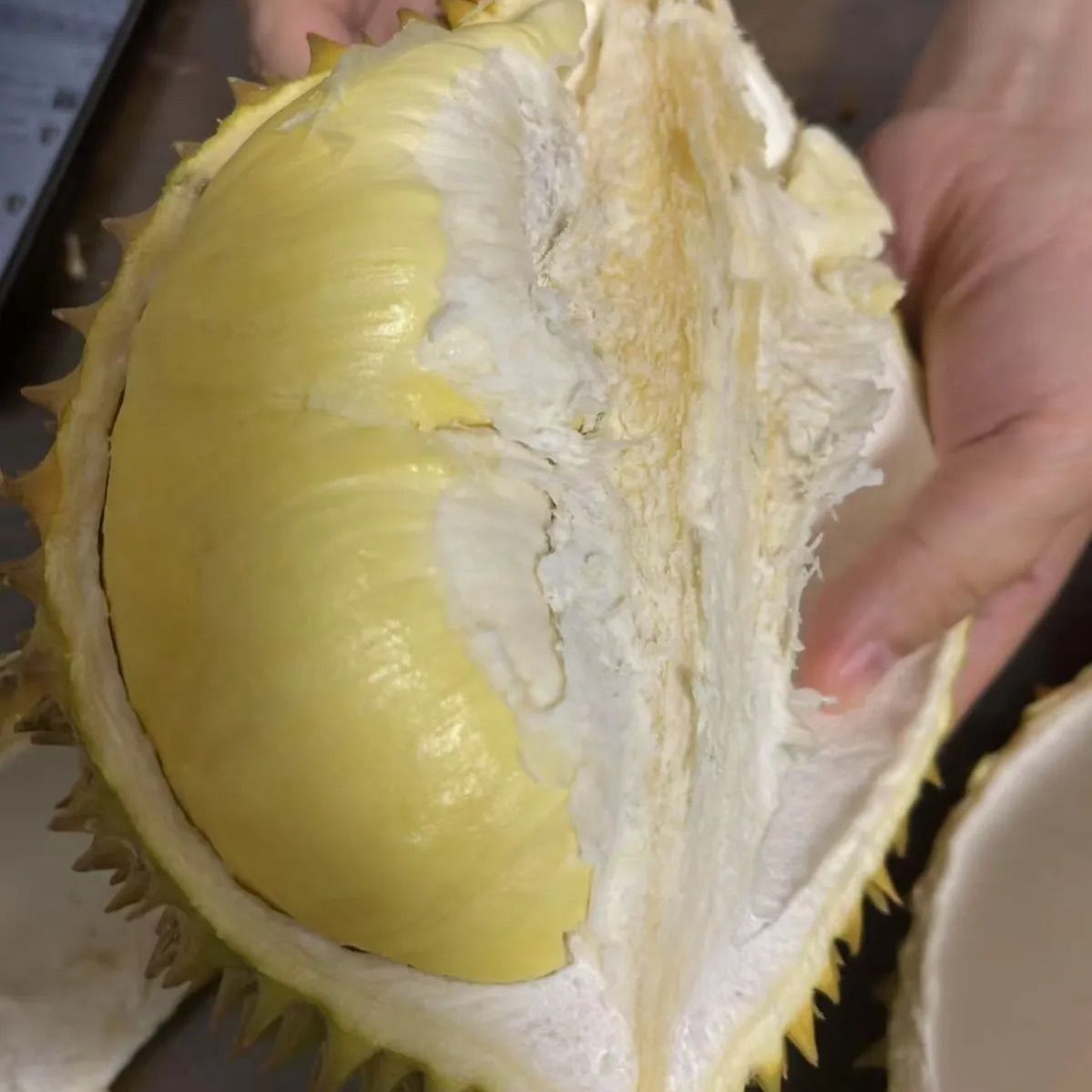今週限定】タイ産 火山金枕ドリアン 1.4-1.7kg - メルカリ