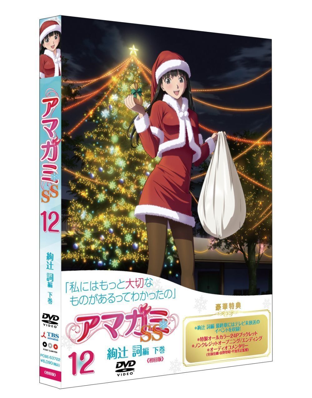 アマガミSS 12 絢辻 詞 下巻 [DVD]