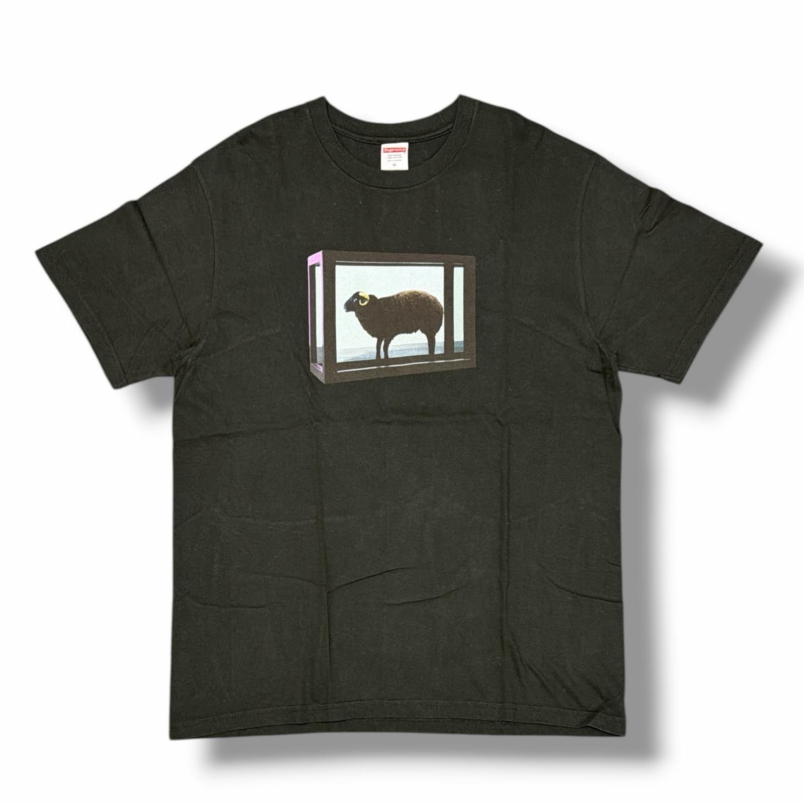国内正規 Supreme 25SS Damien Hirst Tee ダミアンハースト Tシャツ 