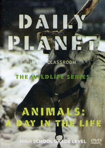 Animals: A Day in the Life [DVD]