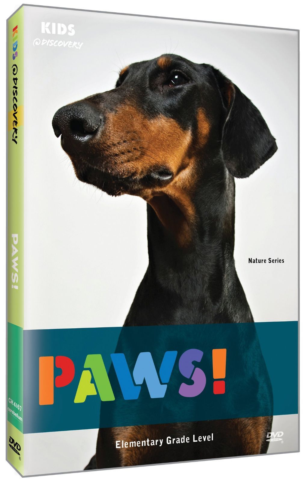 Paws [DVD]