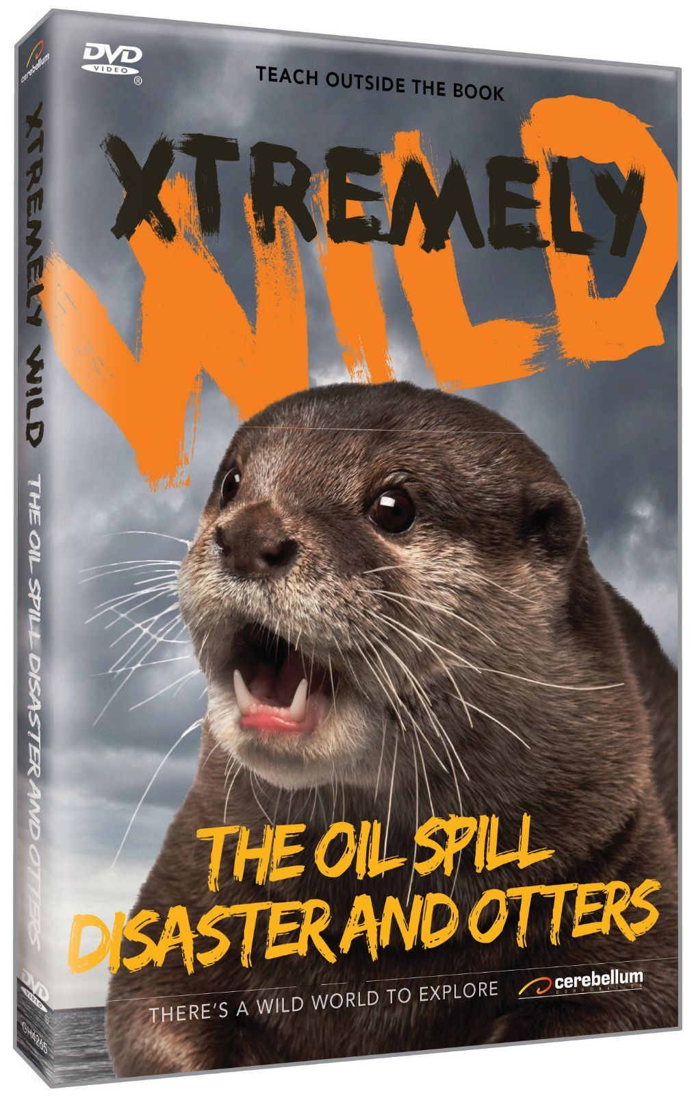 Oil Spill Disaster & Otters [DVD]