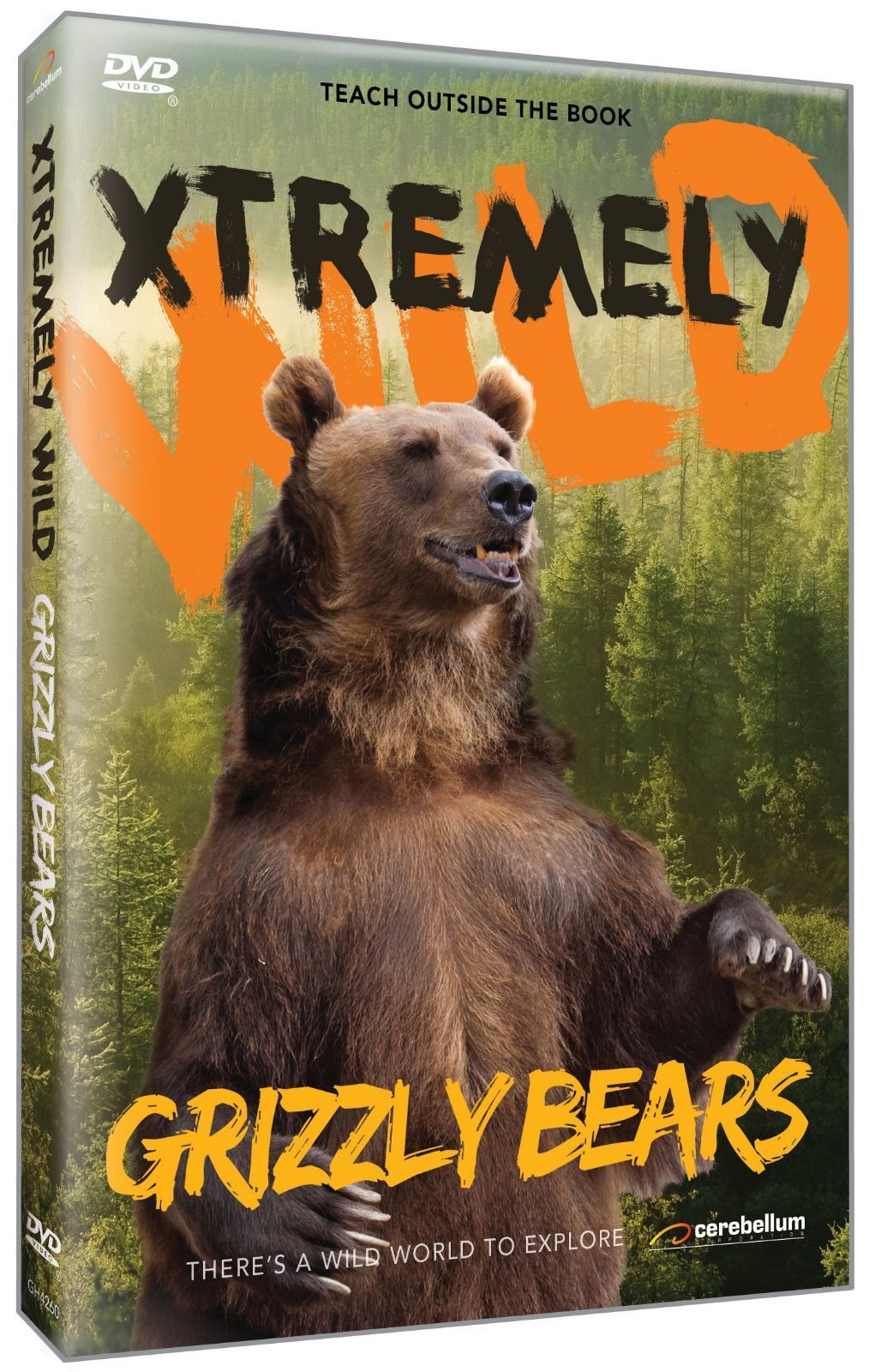 Grizzly Bears [DVD]