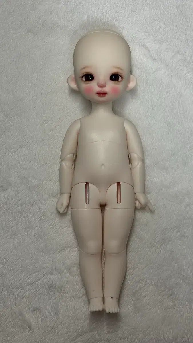 コジ 本体 出品