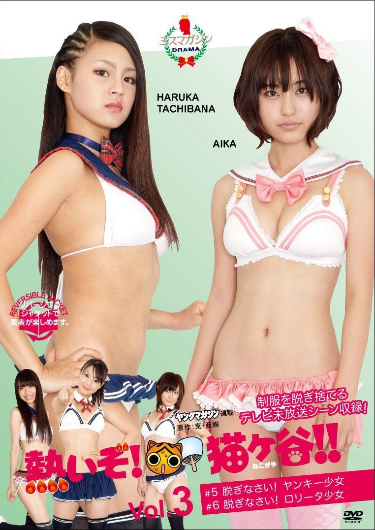 熱いぞ!猫ヶ谷!! Vol.3 [DVD]